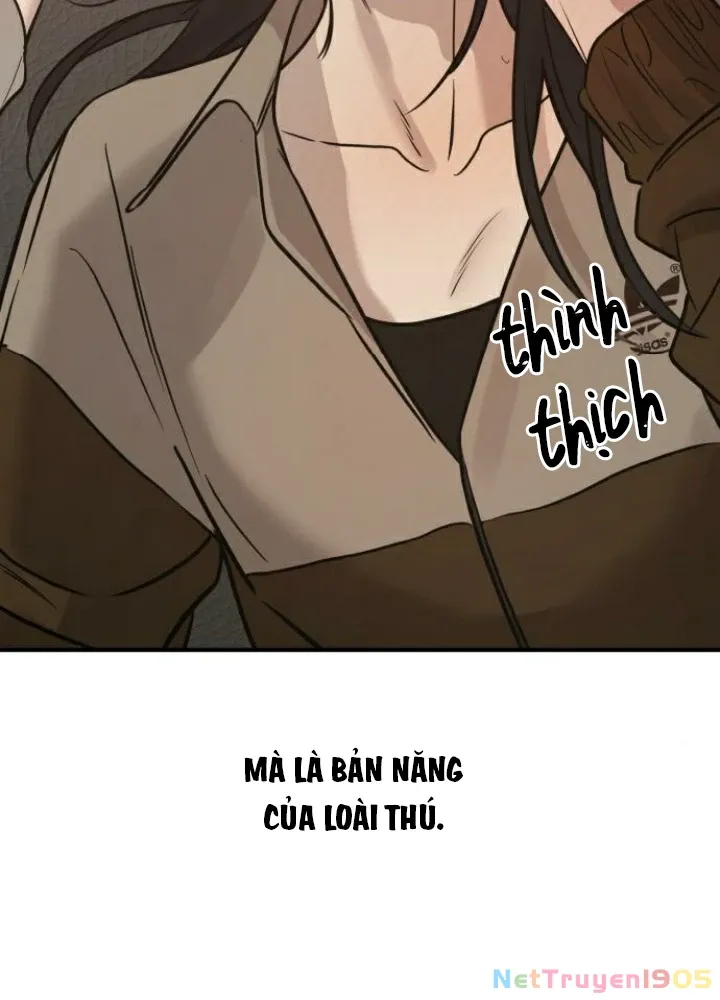 Trang 73