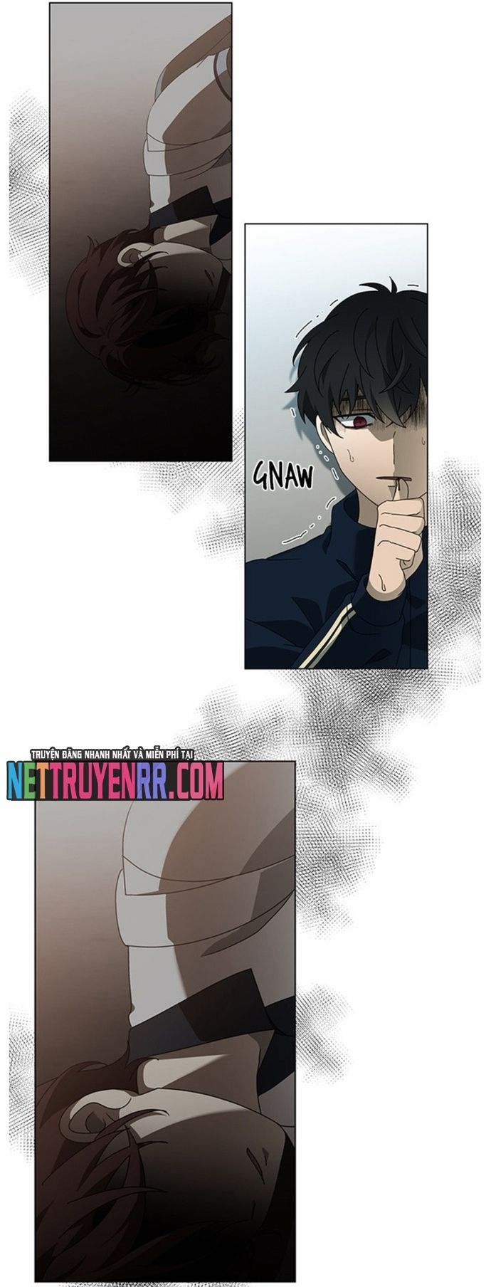 Trang 12