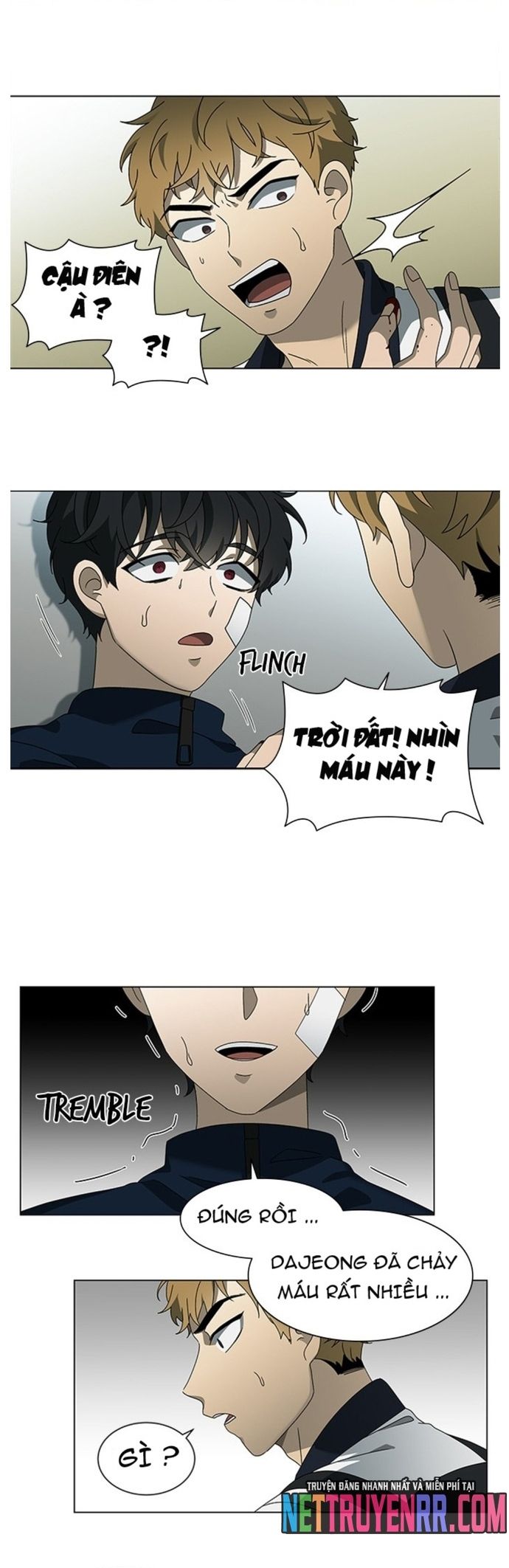 Trang 15