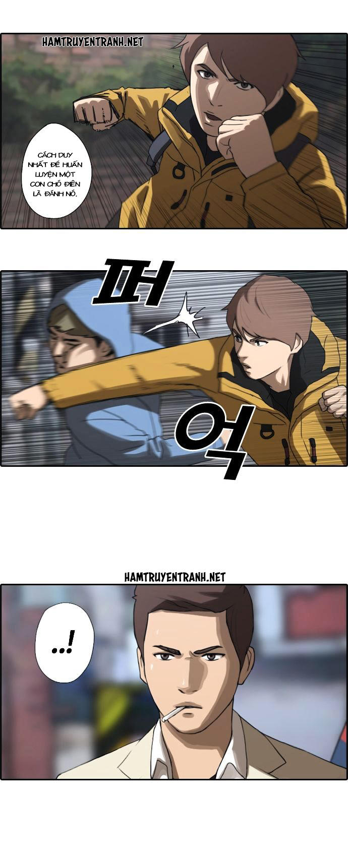 Trang 19