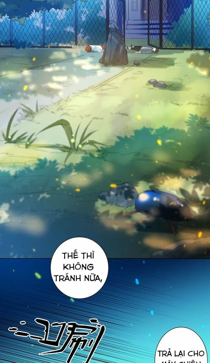 Trang 5