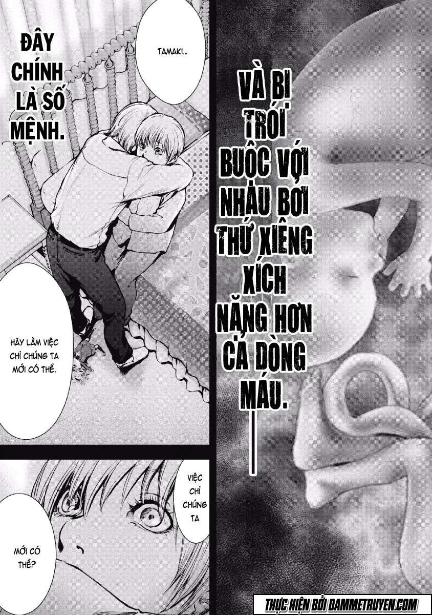 Trang 17