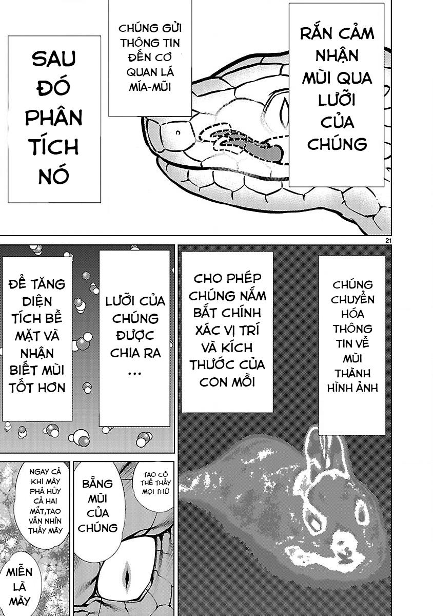 Trang 24