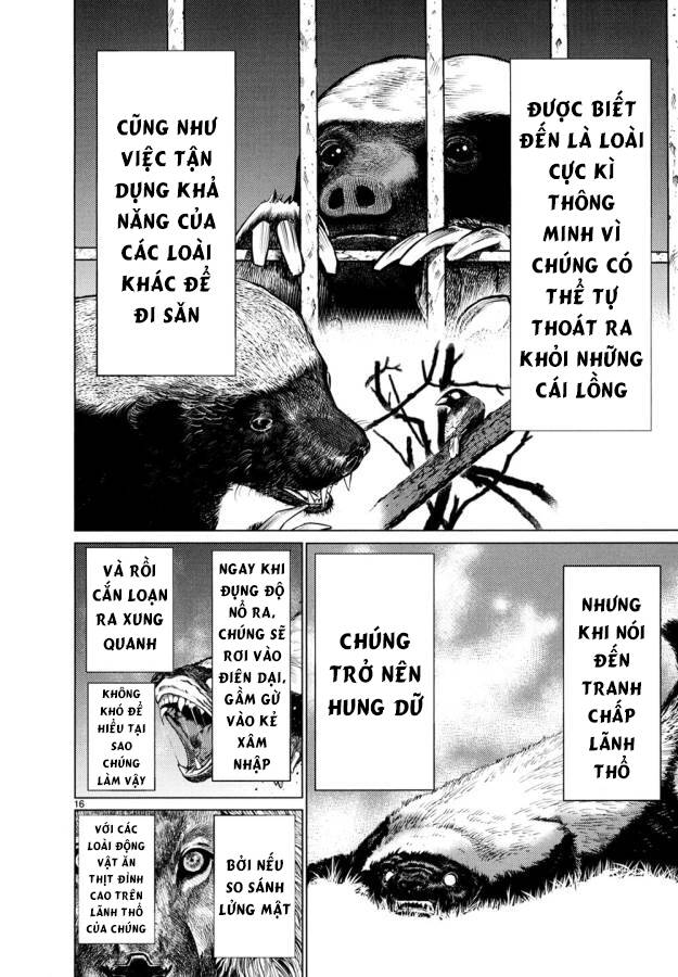 Trang 21