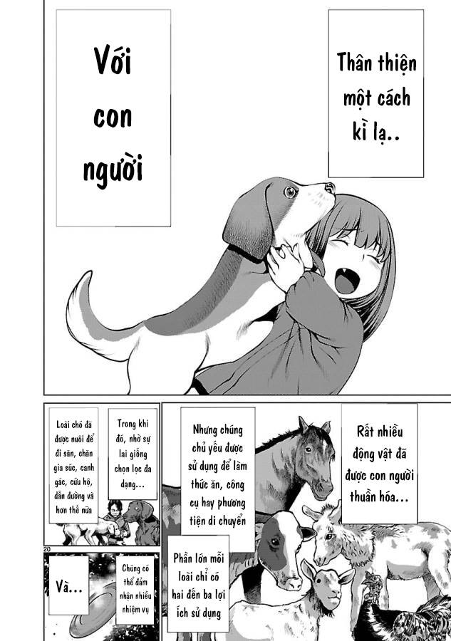 Trang 26
