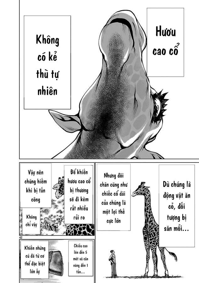 Trang 49