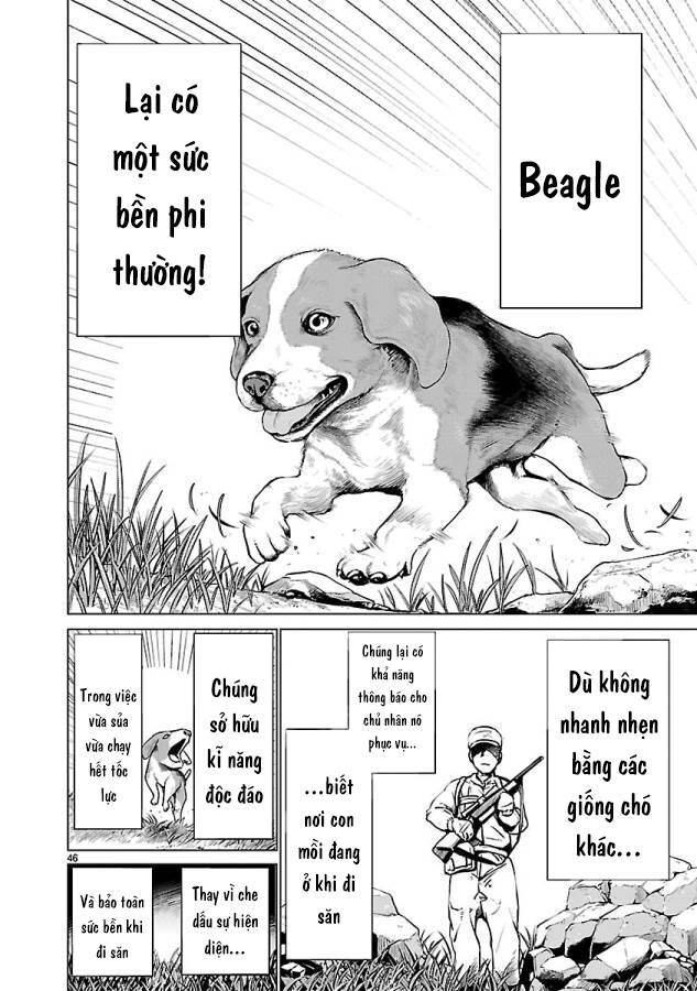 Trang 53