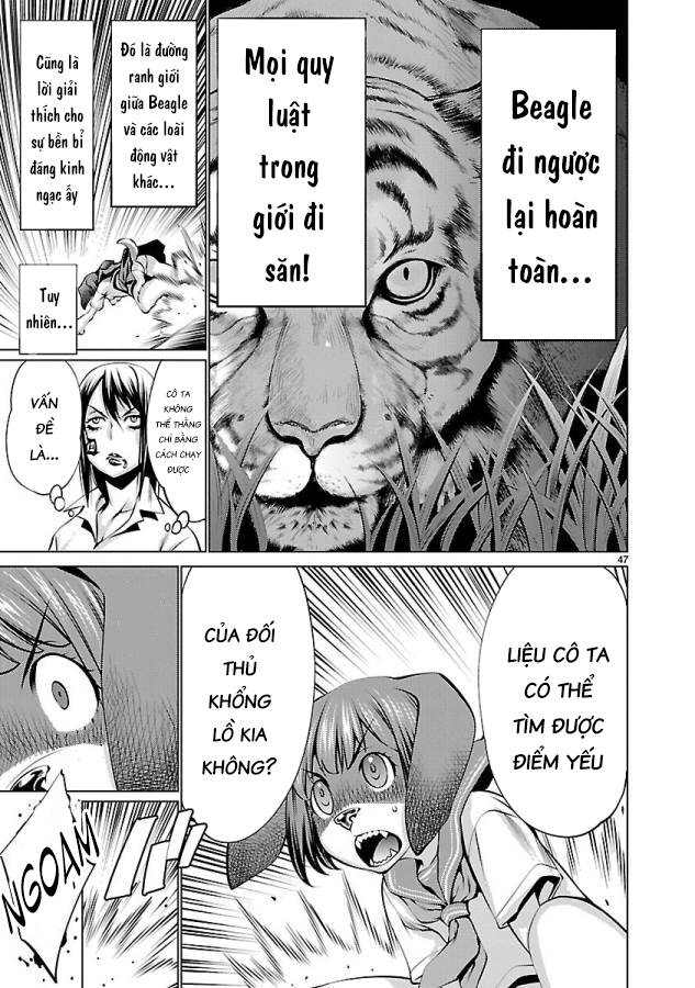 Trang 54