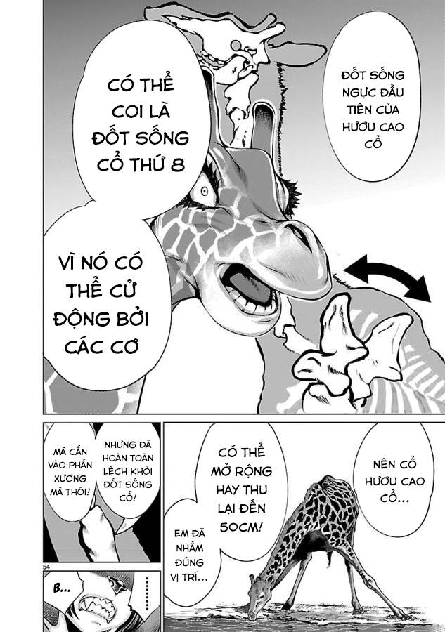 Trang 62