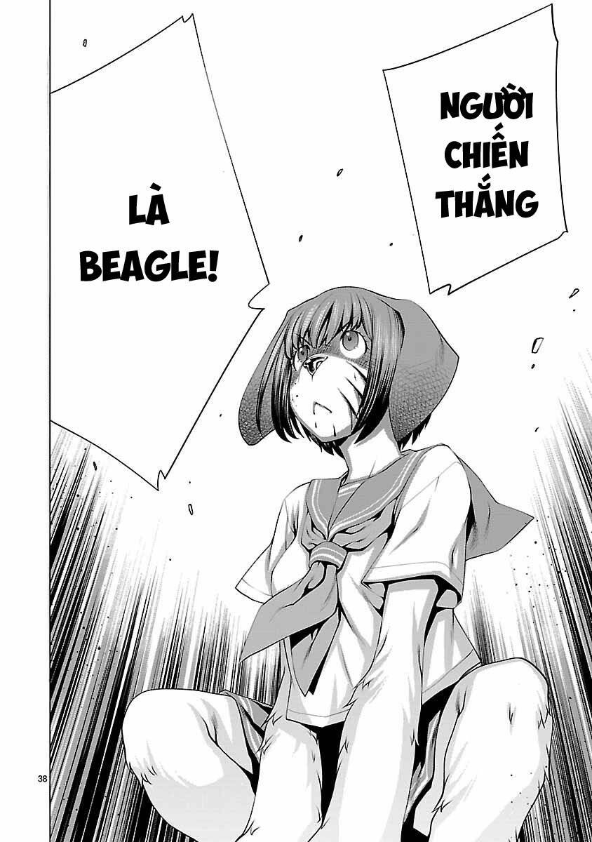 Trang 42