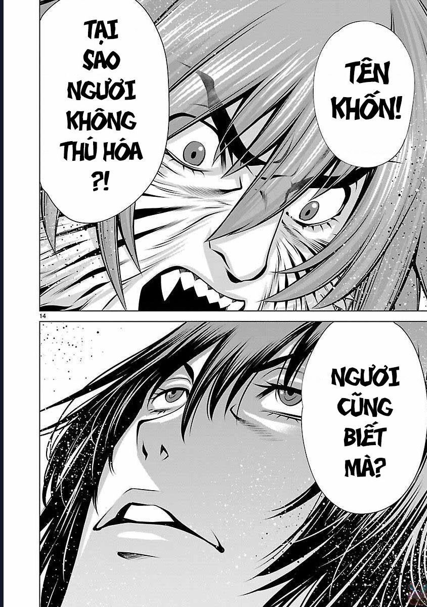 Trang 14