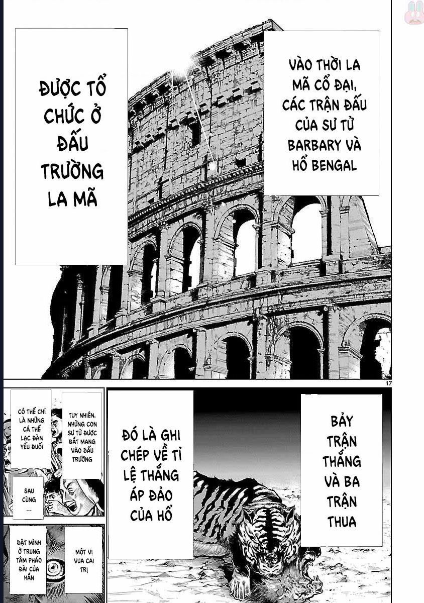 Trang 17