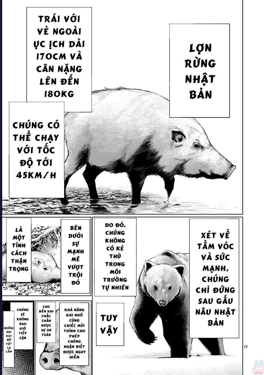 Trang 17