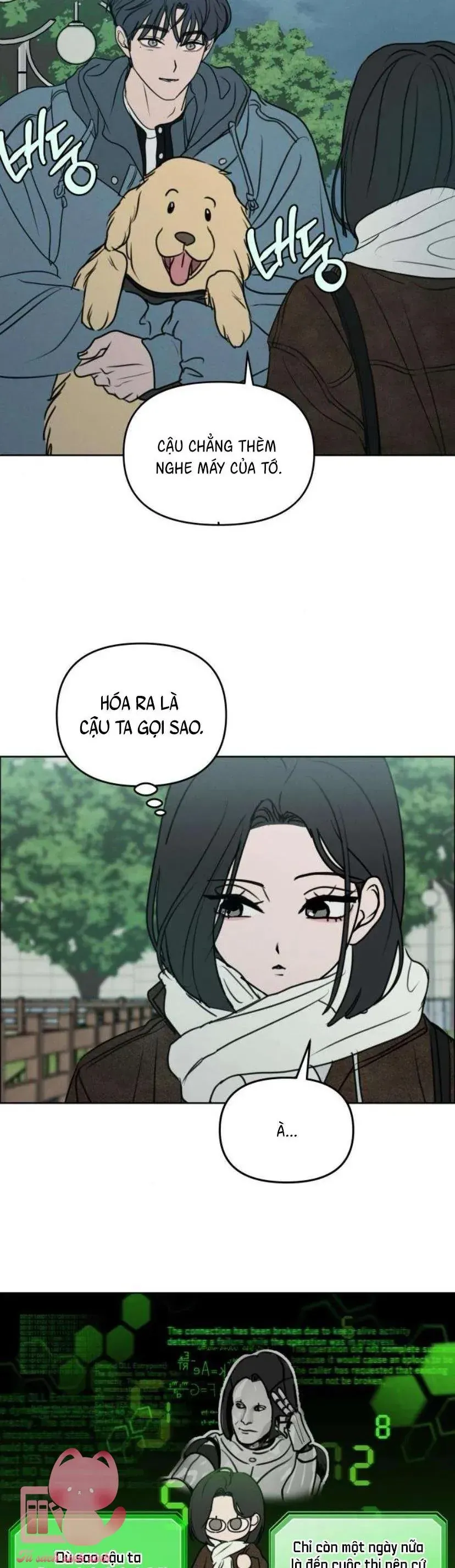 Trang 19