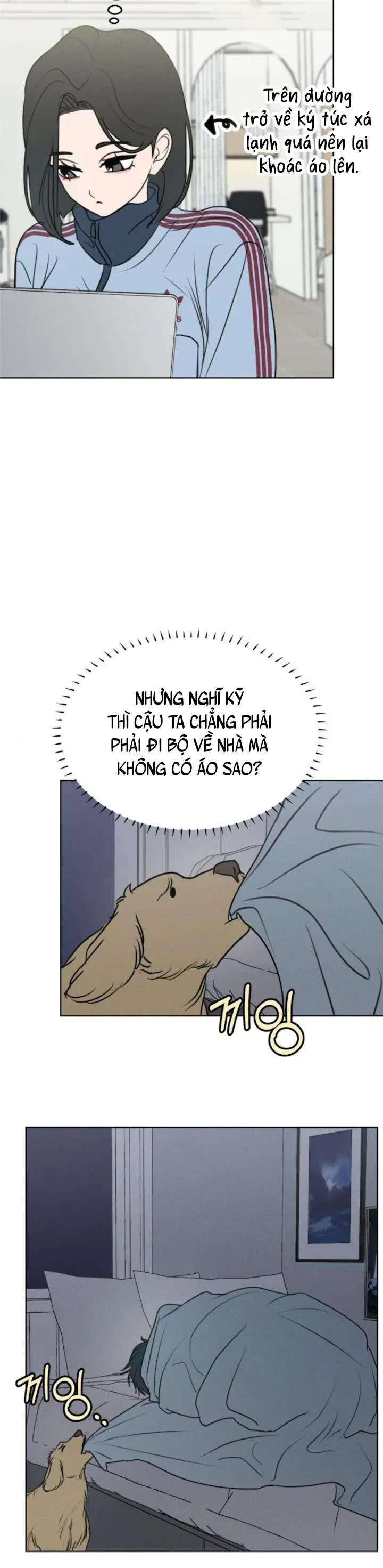 Trang 25