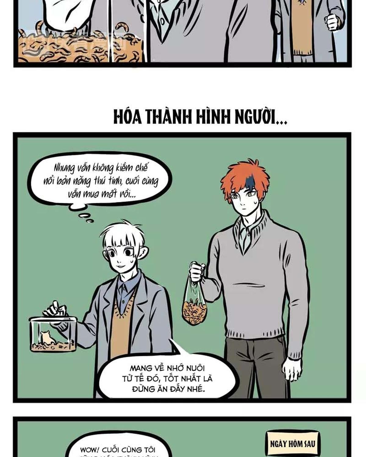 Trang 17