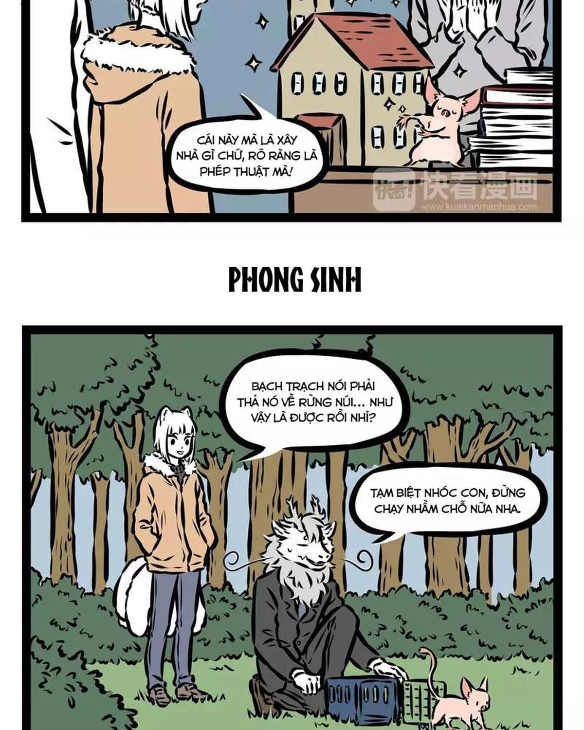 Trang 17