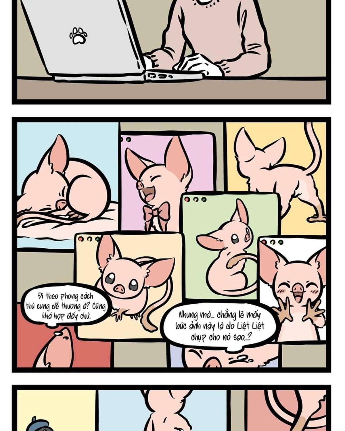 Trang 6