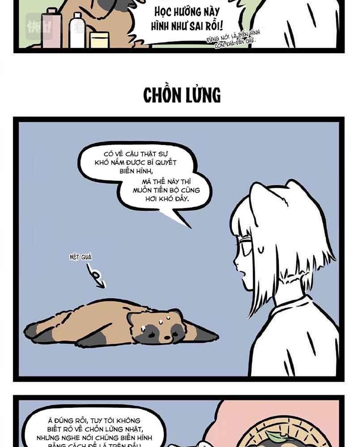 Trang 17