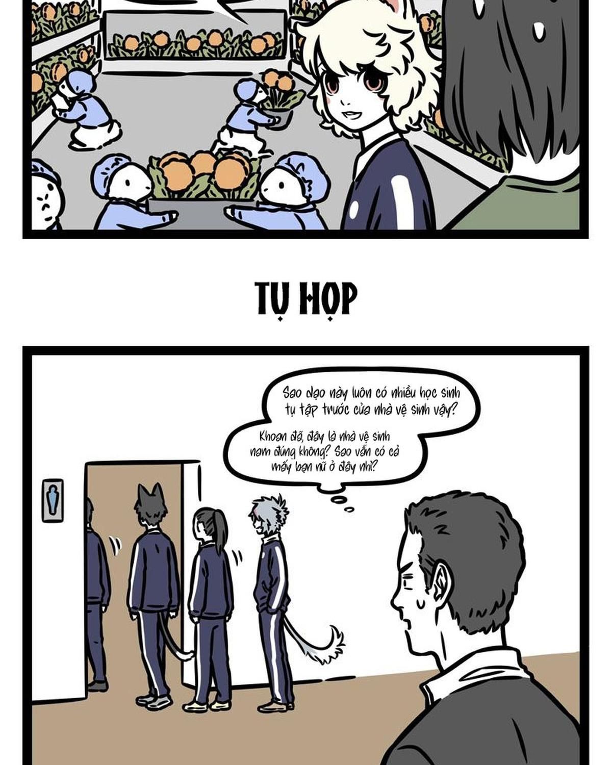 Trang 11