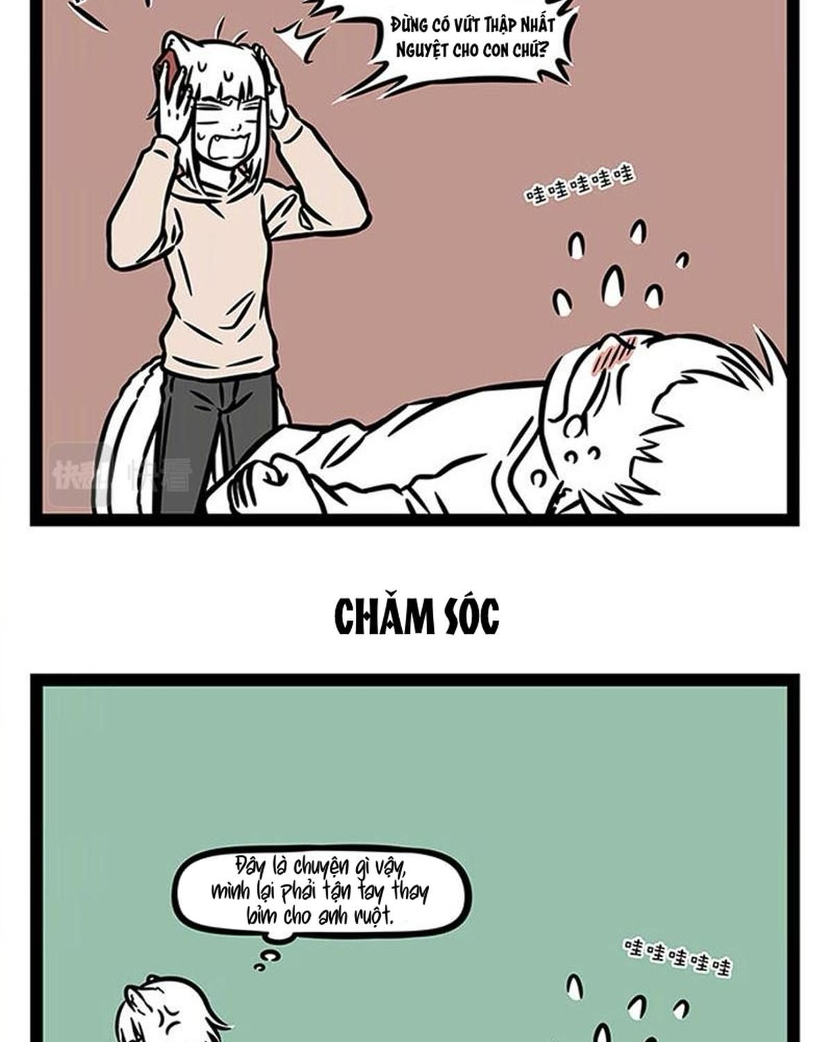 Trang 5