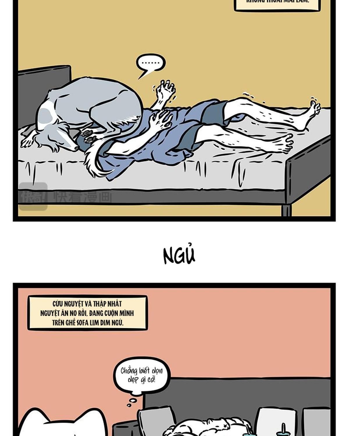 Trang 5