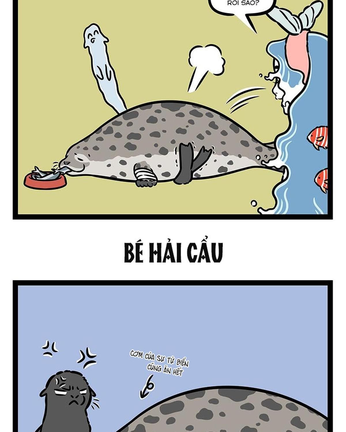 Trang 5
