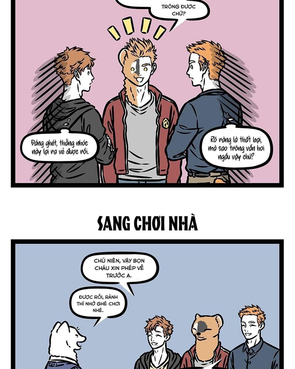 Trang 5