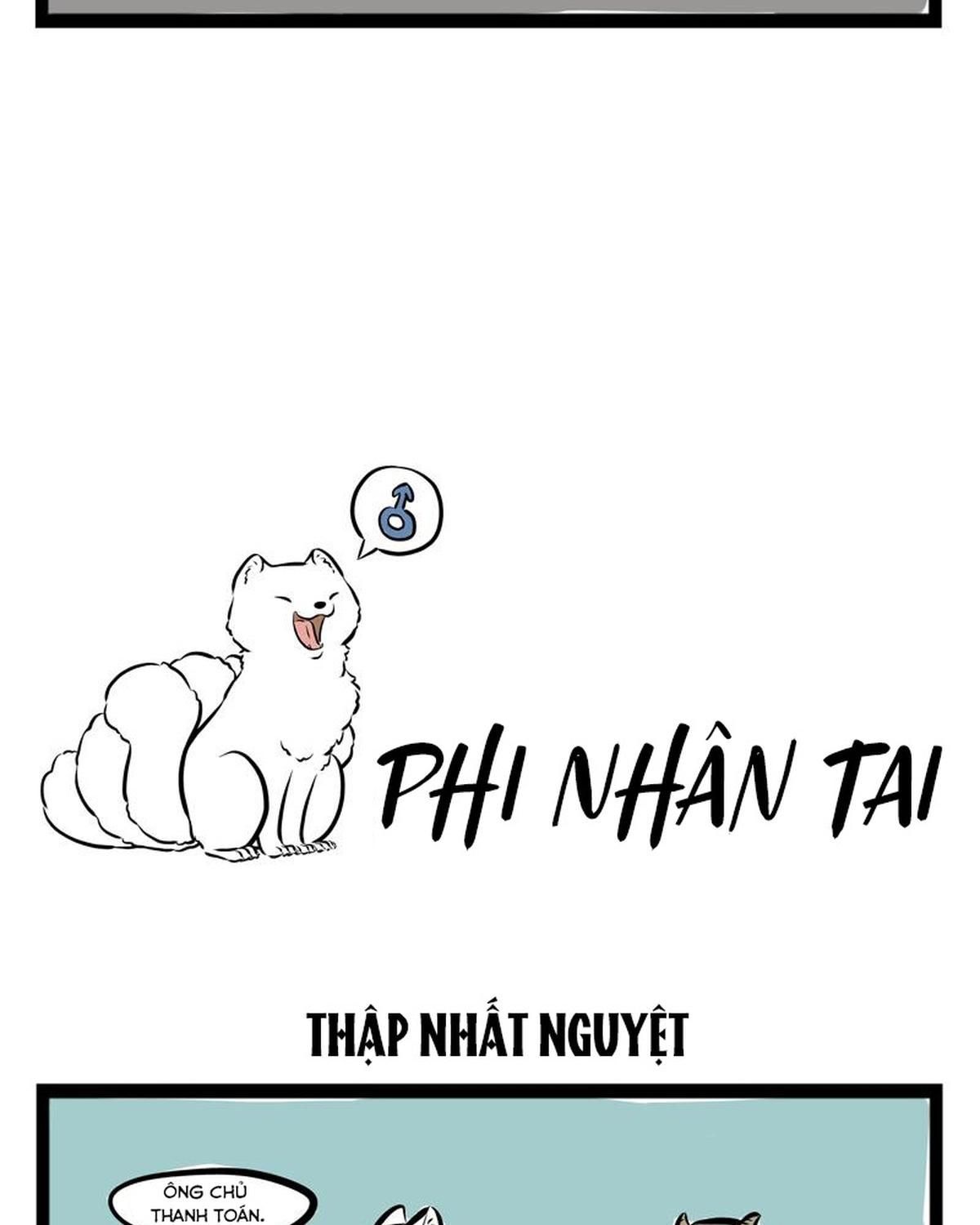 Trang 14