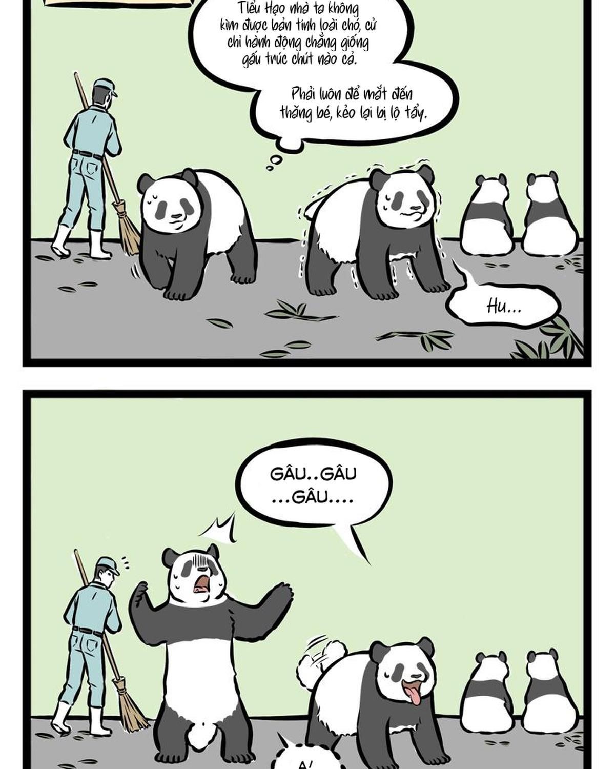Trang 15