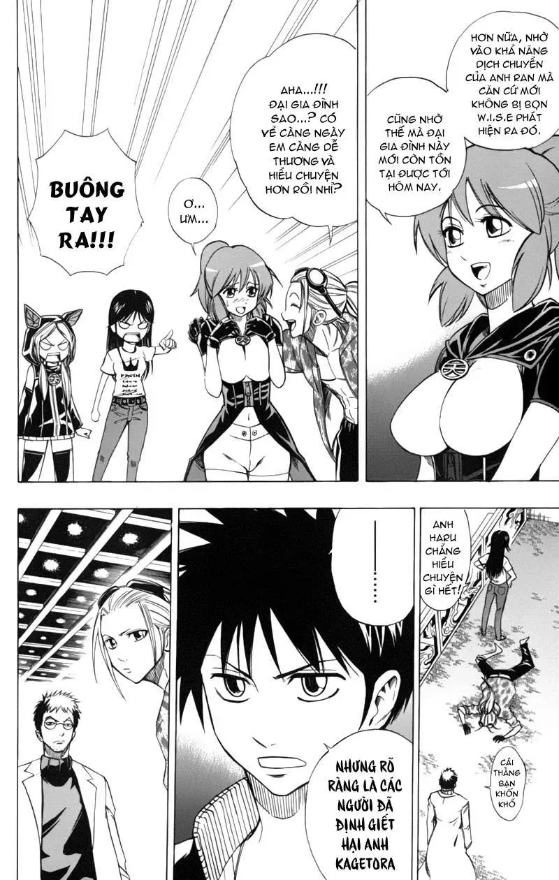 Trang 6
