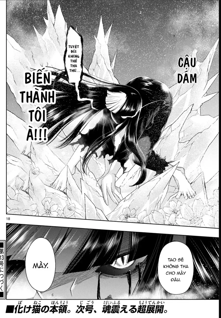 Trang 19