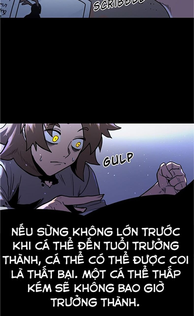 Trang 47