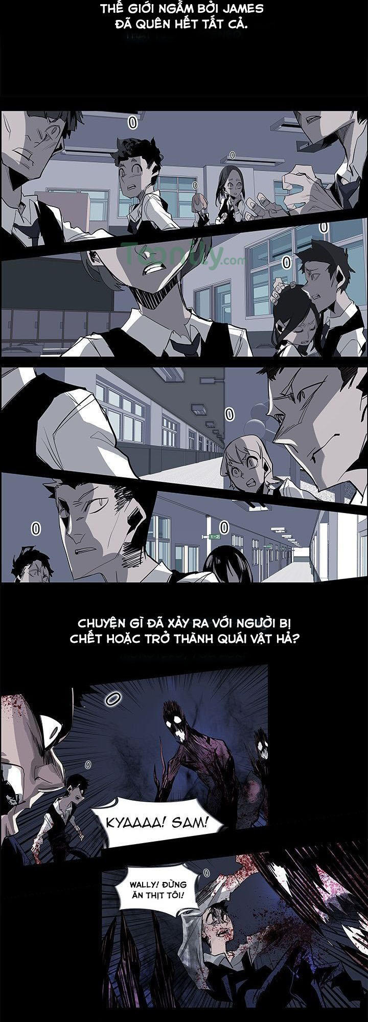 Trang 19